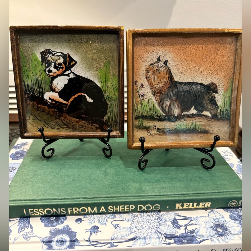Small Dog Portraits